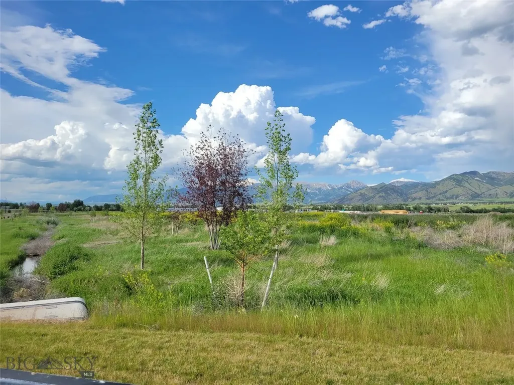 Tbd Royal Wolf Way Bozeman MT 59715
