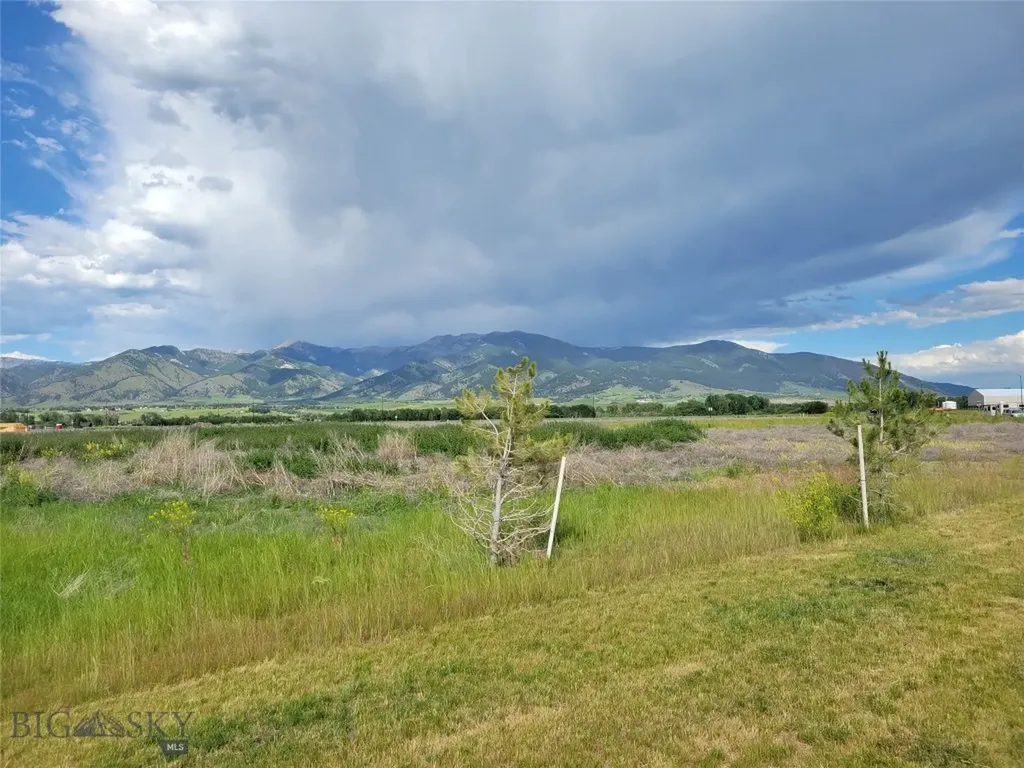 Tbd Royal Wolf Way Bozeman MT 59715