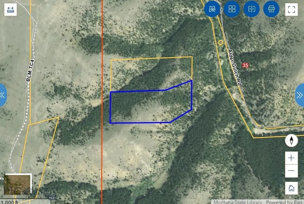 Lot 53 Bell Lode Survey 1320 Me 1021 Virginia City MT 59729