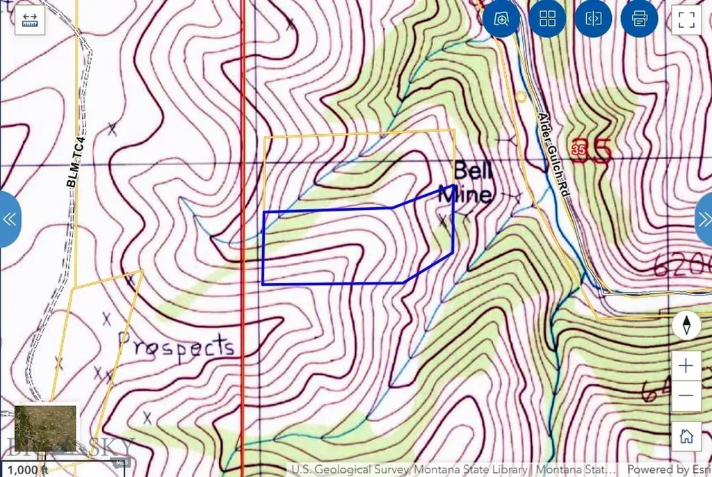 Lot 53 Bell Lode Survey 1320 Me 1021 Virginia City MT 59729