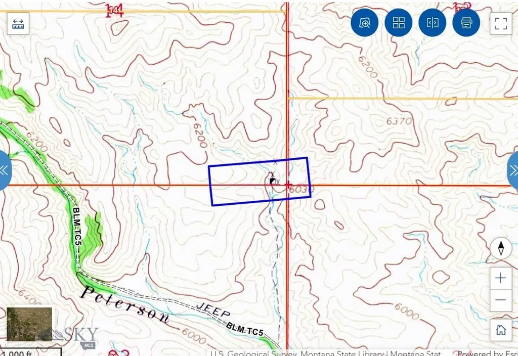 Tbd Bayard Lode Survey No. 2169 Alder MT 59710