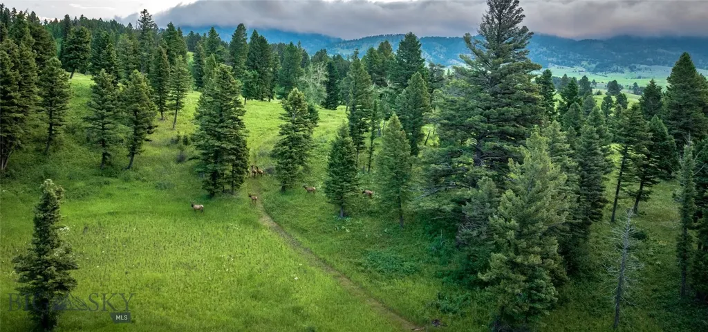 Ranch 5 North Pass Ranch Bozeman MT 5971