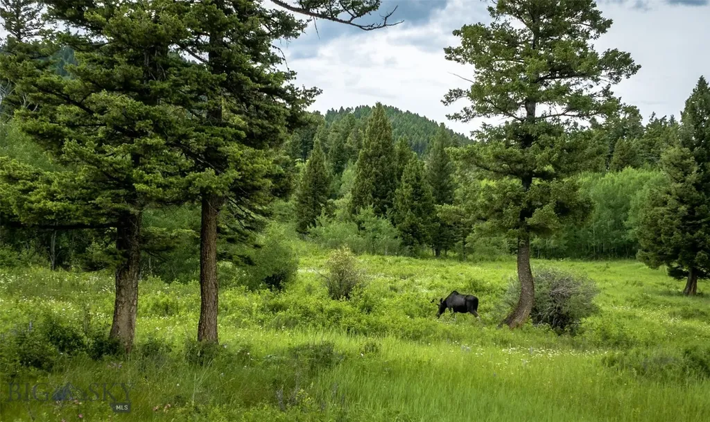 Ranch 5 North Pass Ranch Bozeman MT 5971