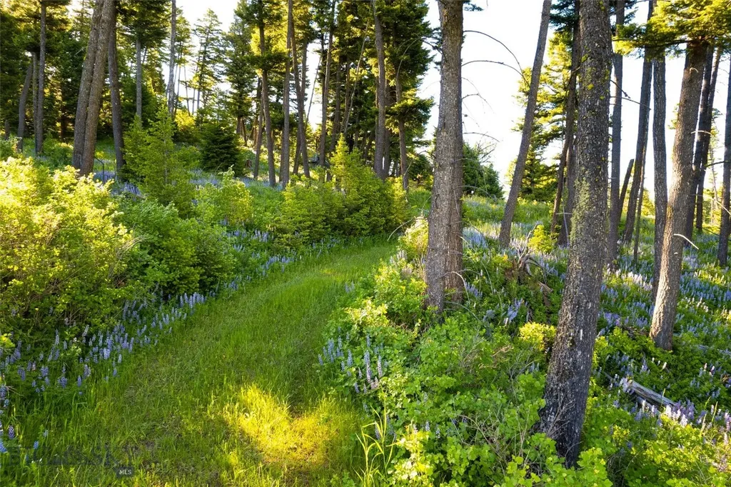 Ranch 2 North Pass Ranch Bozeman MT 59715