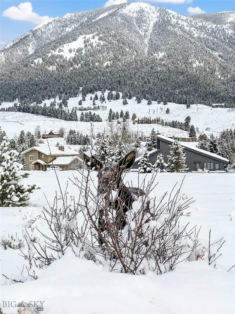 2695 Curly Bear Road Big Sky MT 59716