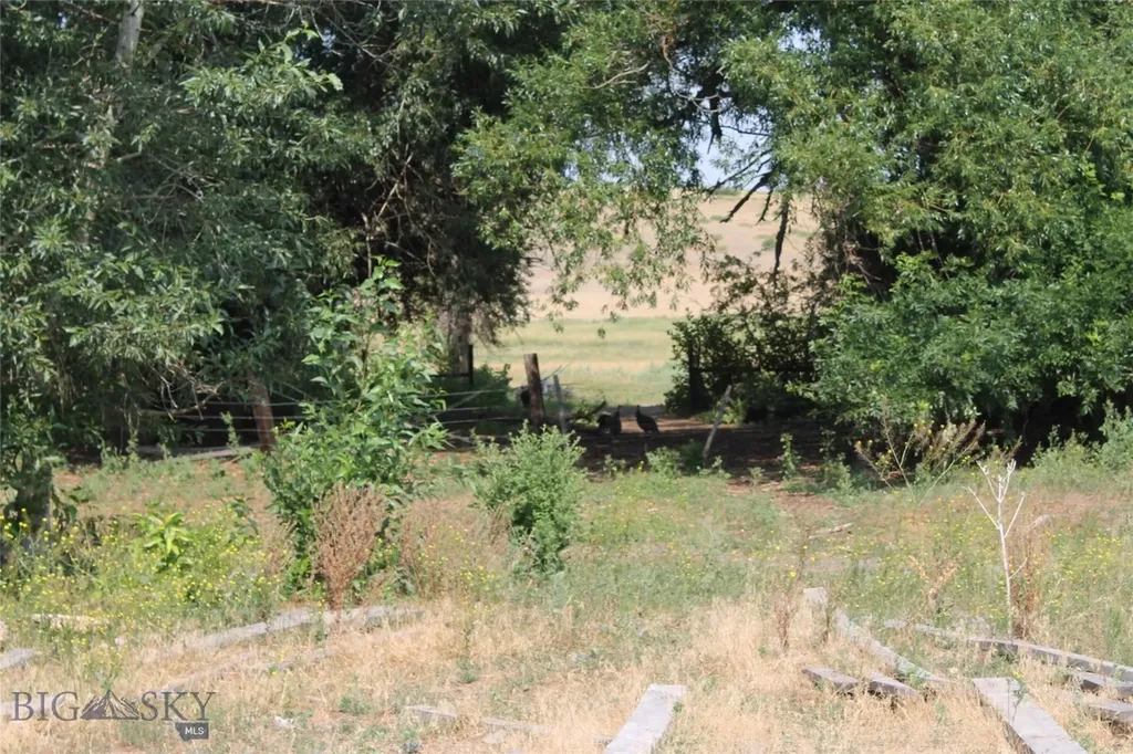 126 Upper Deer Creek Big Timber MT 59011