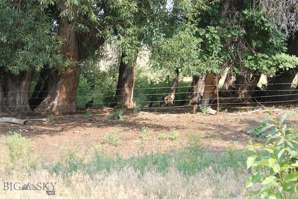 126 Upper Deer Creek Big Timber MT 59011