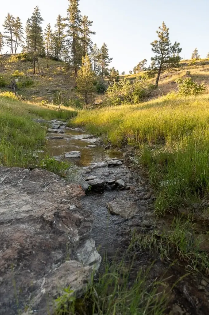 659 Deadmans Canyon Road Big Timber MT 59069