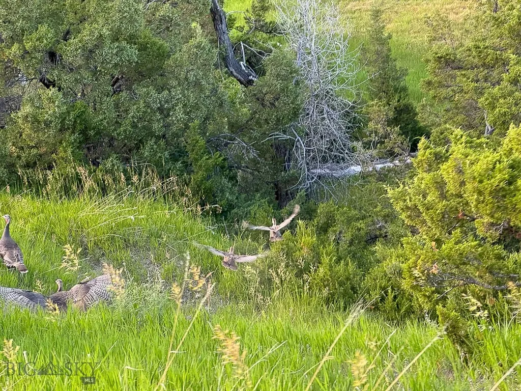 659 Deadmans Canyon Road Big Timber MT 59069