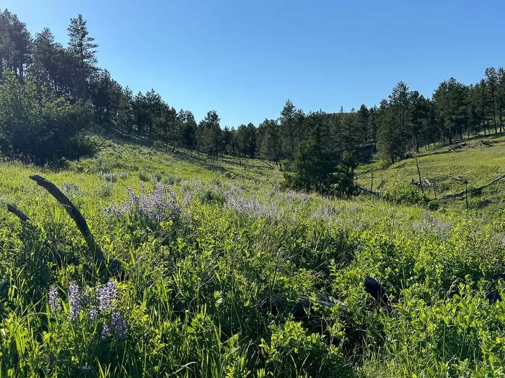 659 Deadmans Canyon Road Big Timber MT 59069