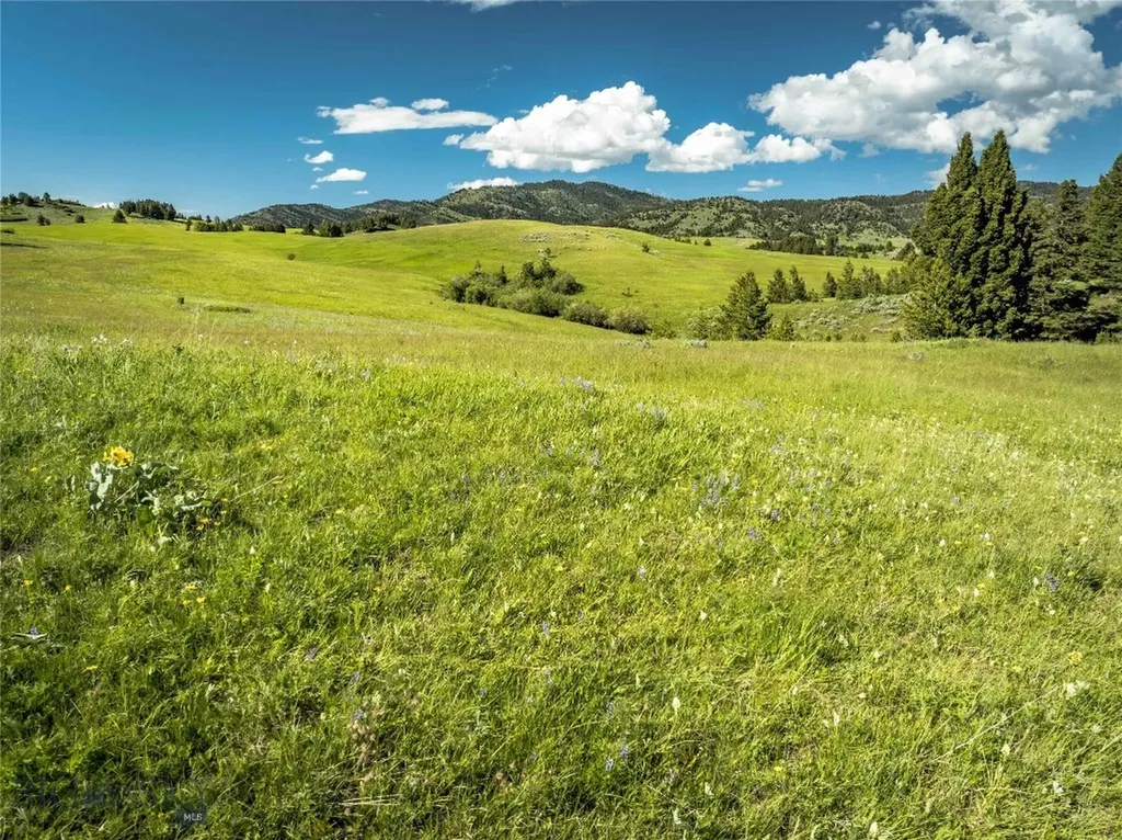 Ranch 13 North Pass Ranch Bozeman MT 59715