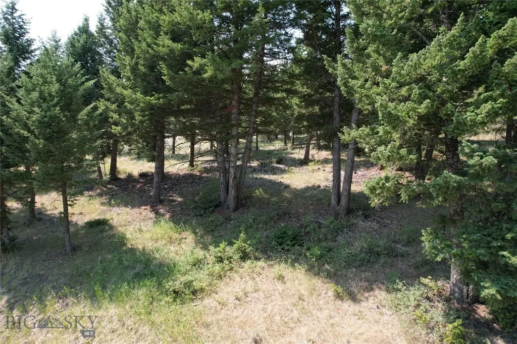 Lot 25 Sun West Ranch Cameron MT 59729