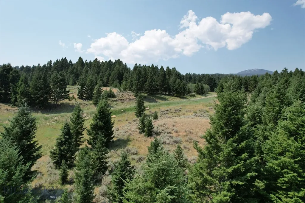 Lot 25 Sun West Ranch Cameron MT 59729