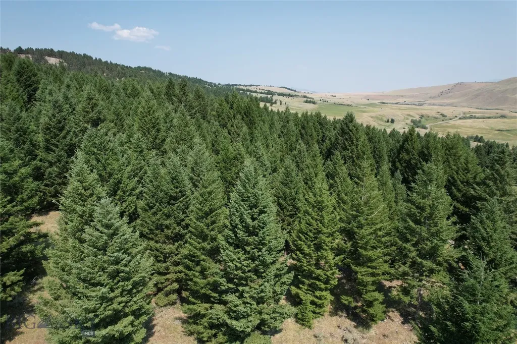 Lot 25 Sun West Ranch Cameron MT 59729
