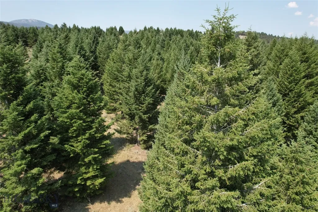Lot 25 Sun West Ranch Cameron MT 59729