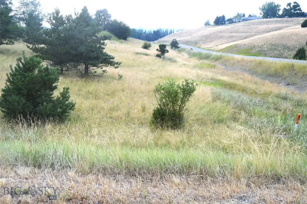 Tbd Itana Circle Bozeman MT 59715
