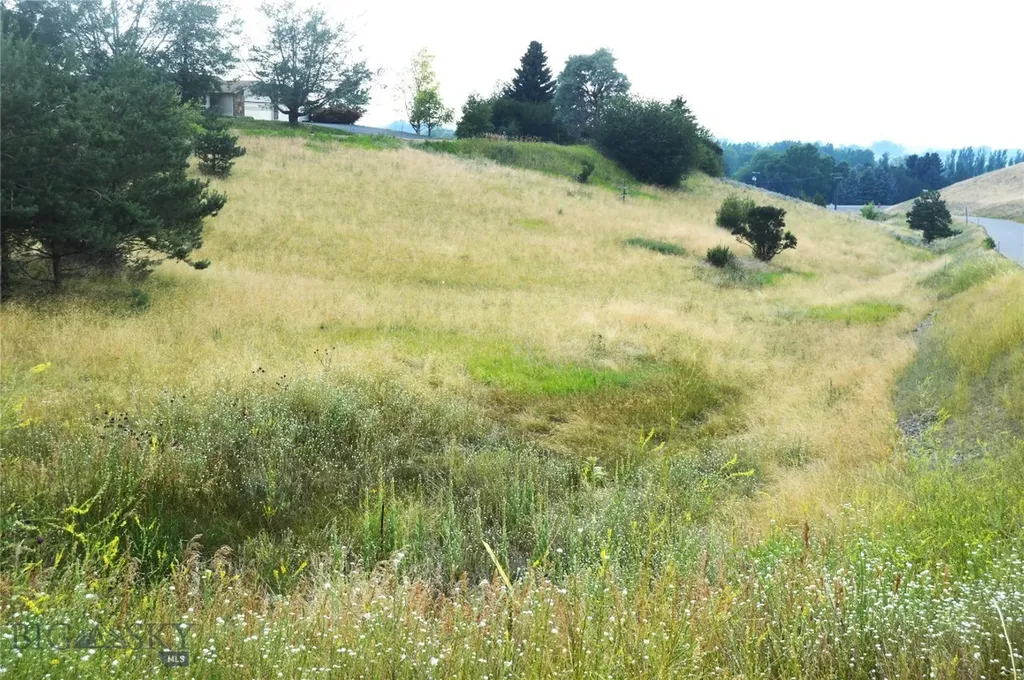 Tbd Itana Circle Bozeman MT 59715