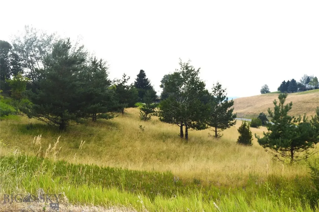 Tbd Itana Circle Bozeman MT 59715