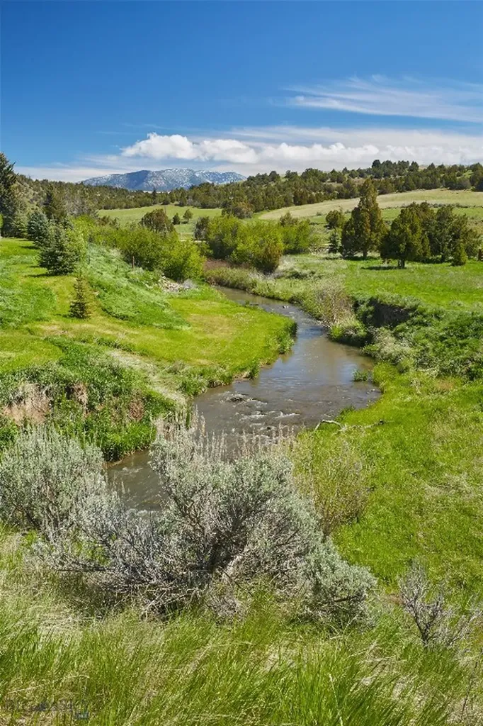 3010 Skinner Road Belgrade MT 59714