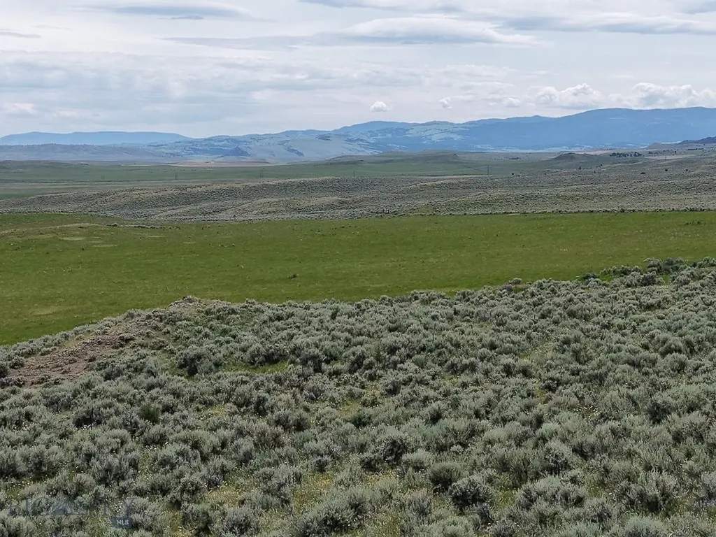 Tbd Shy Road Wilsall MT 59086