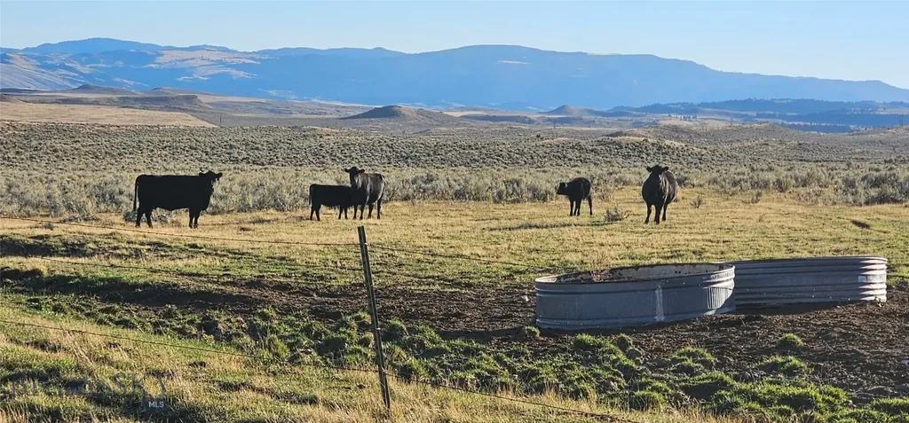 Tbd Shy Road Wilsall MT 59086
