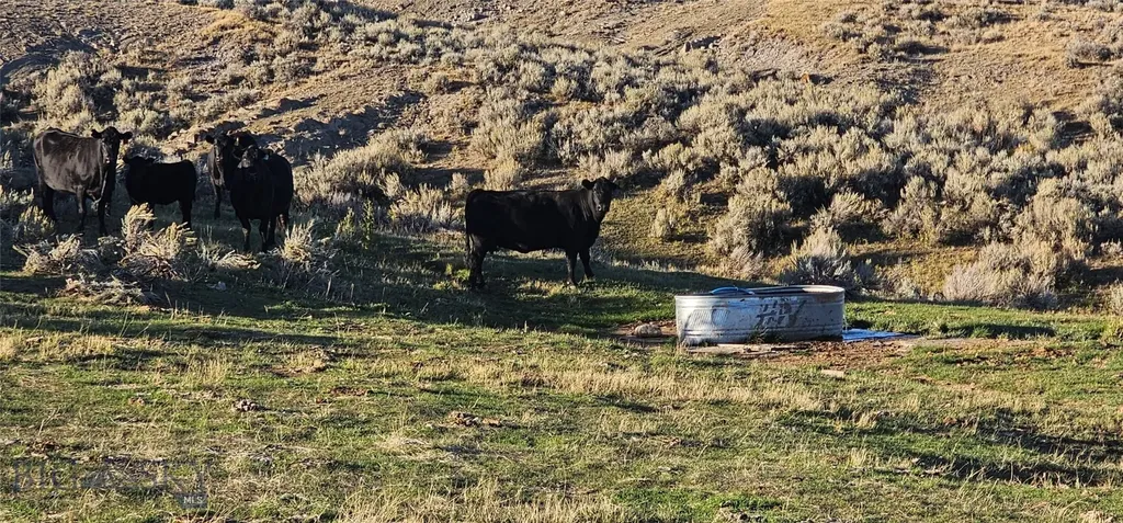 Tbd Shy Road Wilsall MT 59086