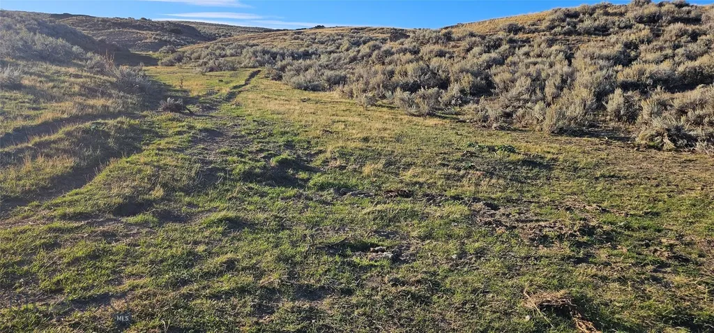 Tbd Shy Road Wilsall MT 59086