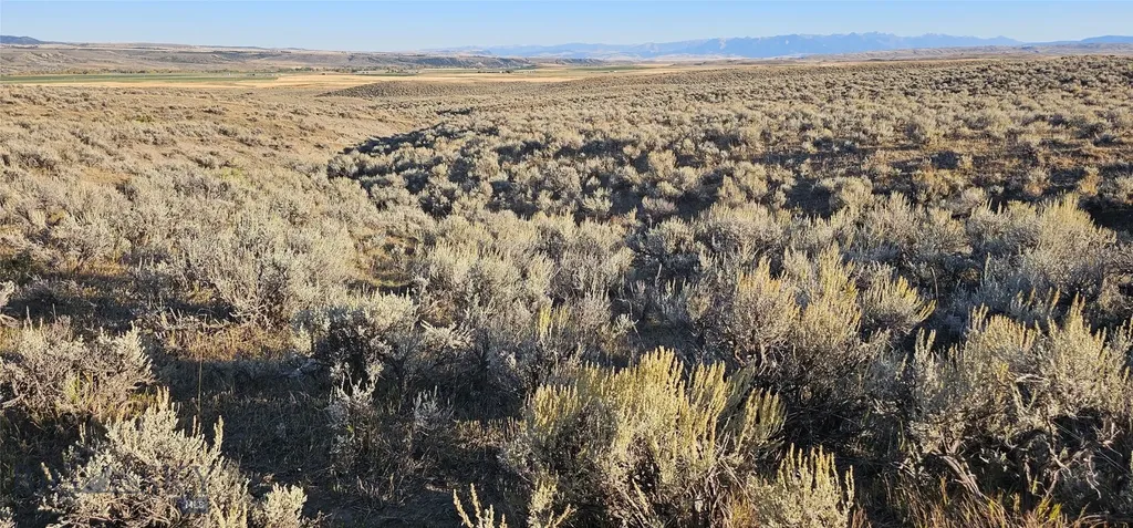 Tbd Shy Road Wilsall MT 59086