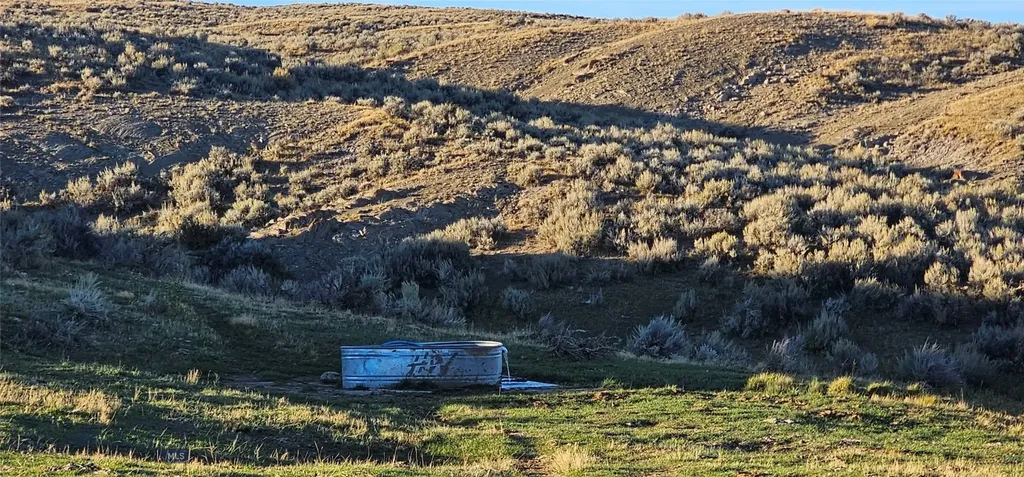 Tbd Shy Road Wilsall MT 59086