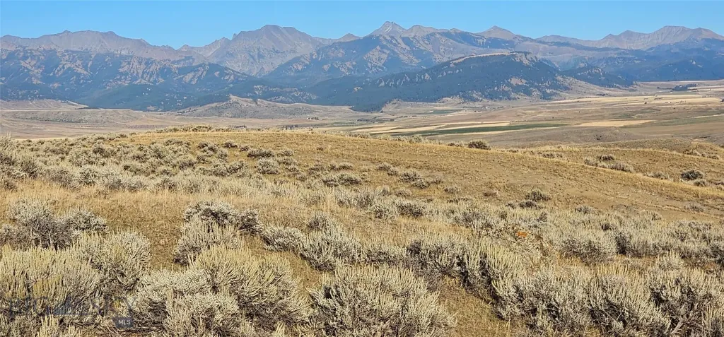 Tbd Shy Road Wilsall MT 59086