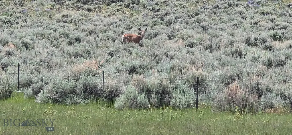 Tbd Shy Road Wilsall MT 59086