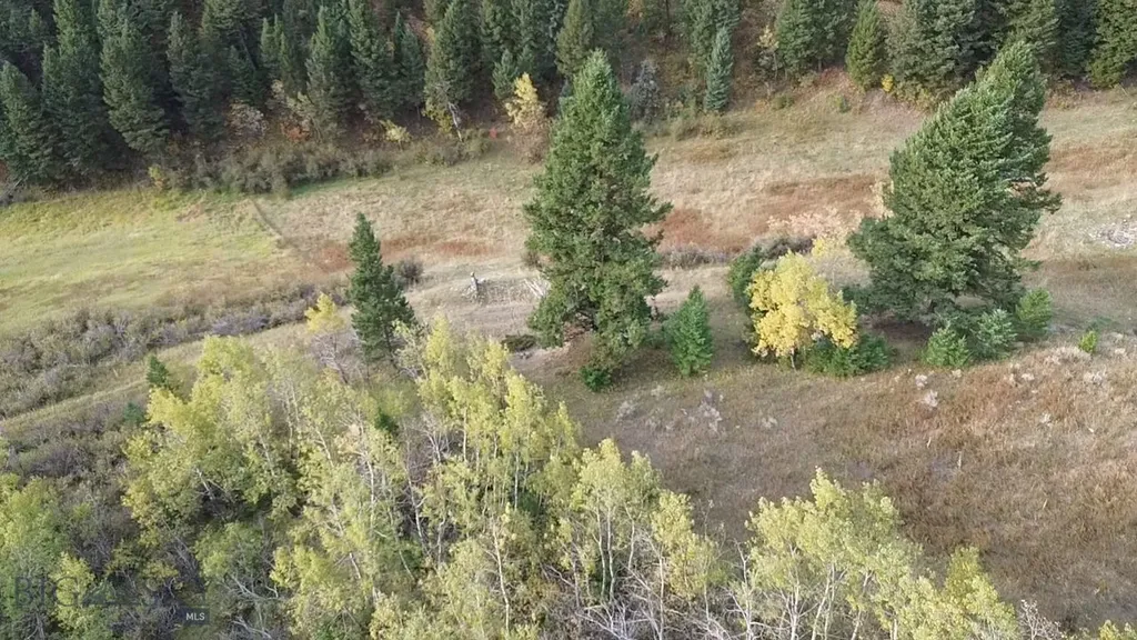 000 Chestnut Road Bozeman MT 59715
