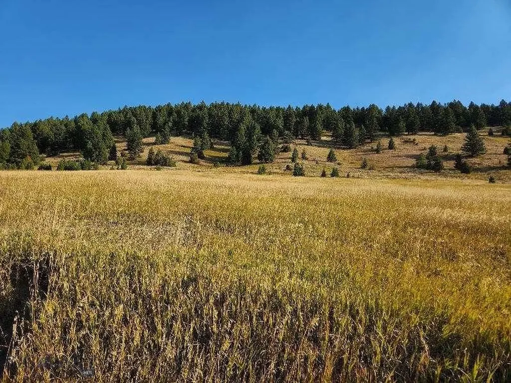 000 Chestnut Road Bozeman MT 59715
