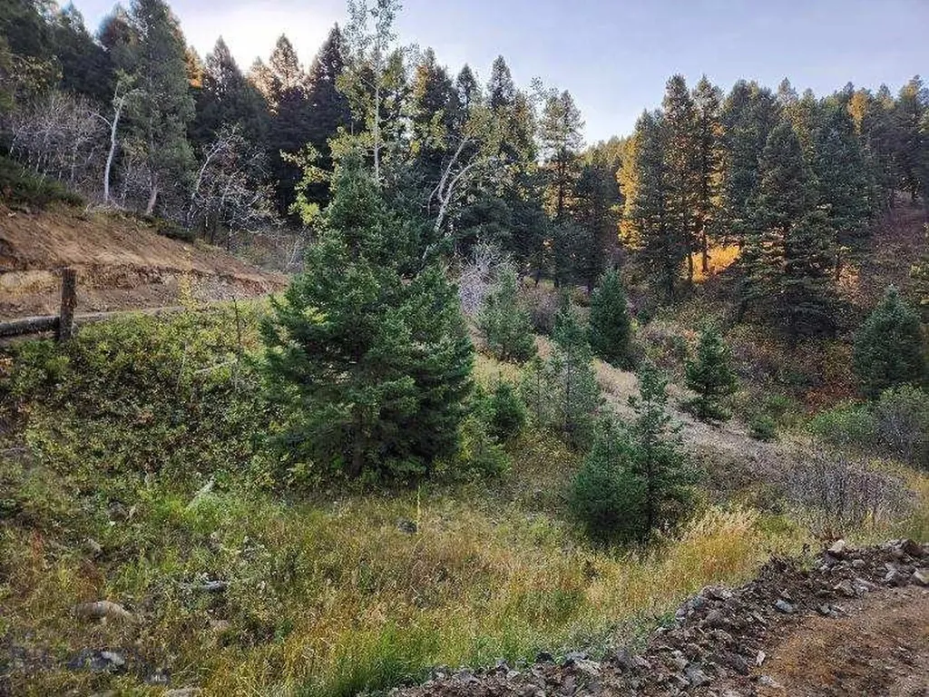 000 Chestnut Road Bozeman MT 59715