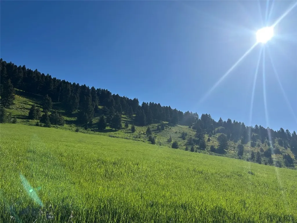 000 Chestnut Road Bozeman MT 59715