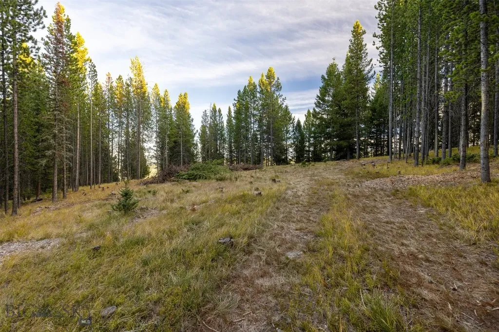 Lot 44 Amber Lily Court Big Sky MT 59716