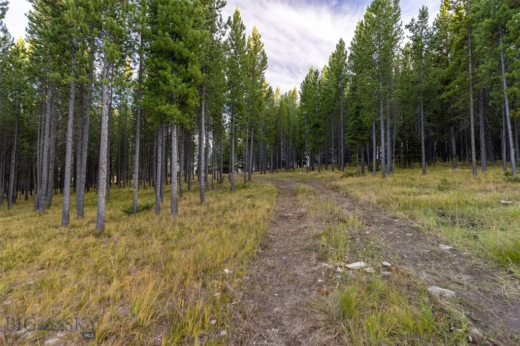 Lot 44 Amber Lily Court Big Sky MT 59716