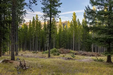 Lot 44 Amber Lily Court Big Sky MT 59716