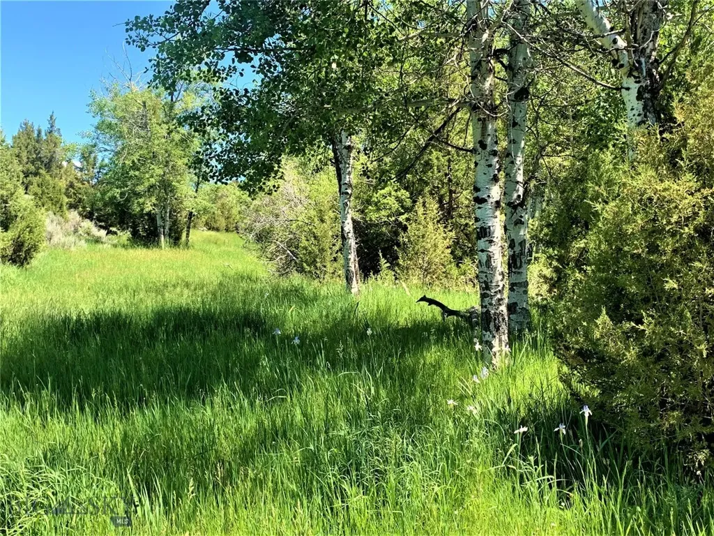 49 Lupine Lane Sheridan MT 59749