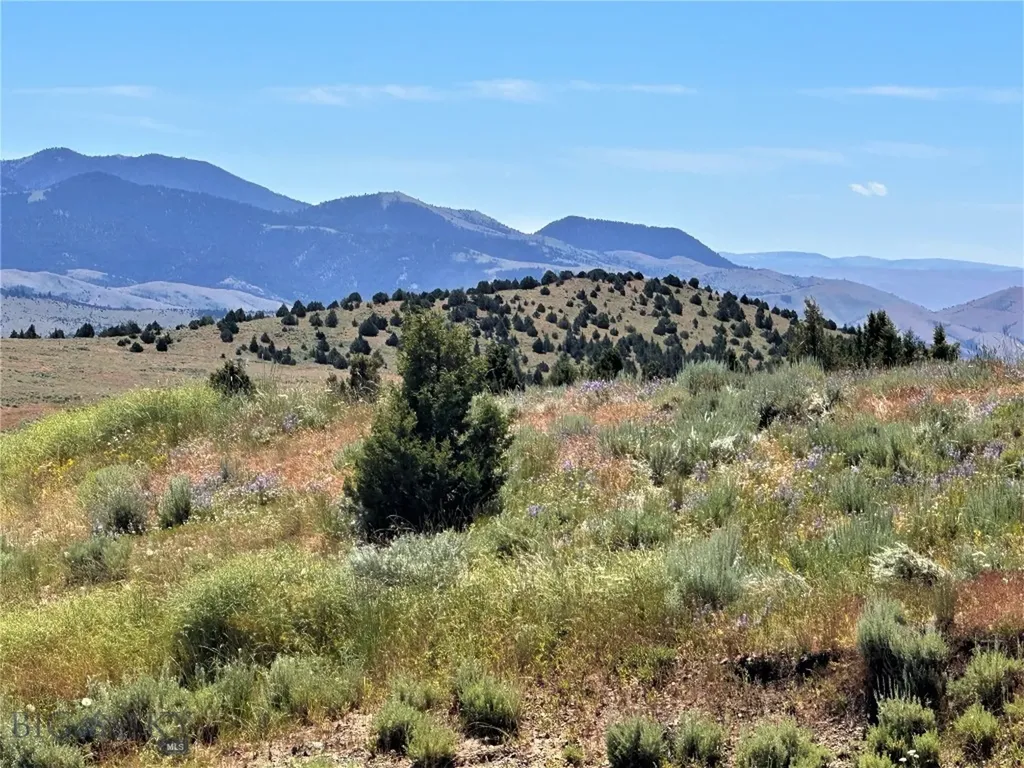 49 Lupine Lane Sheridan MT 59749