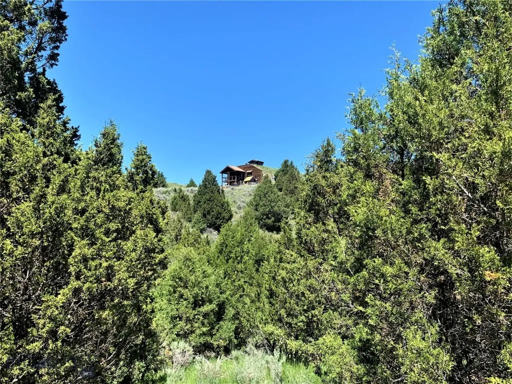 49 Lupine Lane Sheridan MT 59749