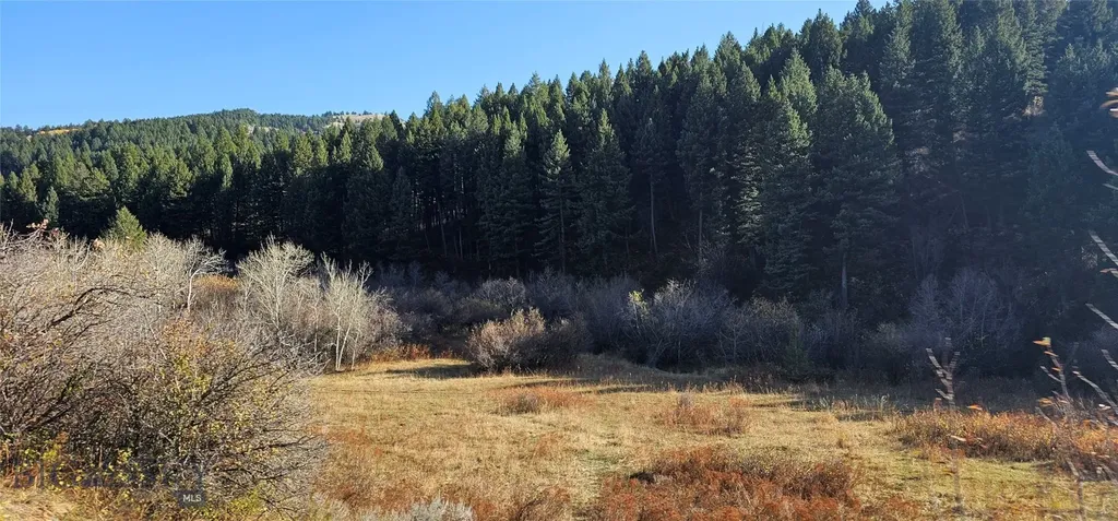 495 Moffit Gulch Road Bozeman MT 59715