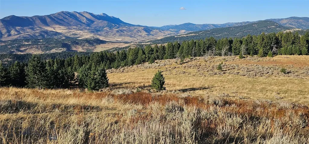 495 Moffit Gulch Road Bozeman MT 59715
