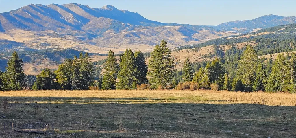 495 Moffit Gulch Road Bozeman MT 59715