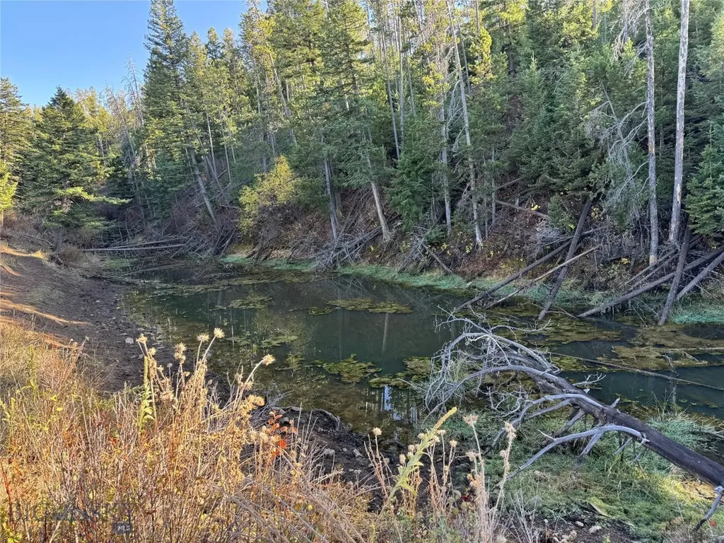 495 Moffit Gulch Road Bozeman MT 59715