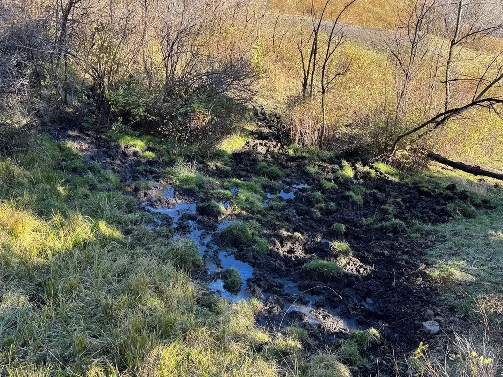 495 Moffit Gulch Road Bozeman MT 59715