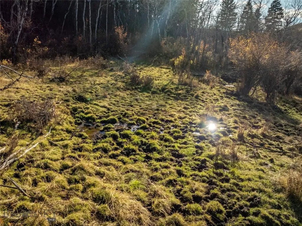 495 Moffit Gulch Road Bozeman MT 59715