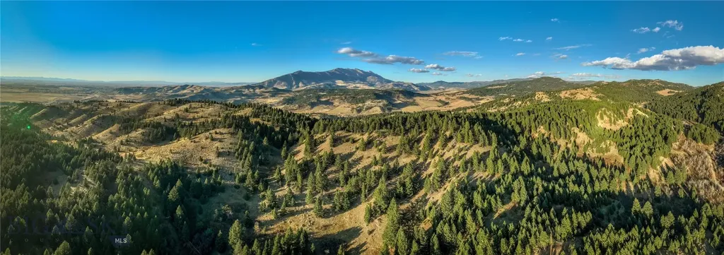 495 Moffit Gulch Road Bozeman MT 59715
