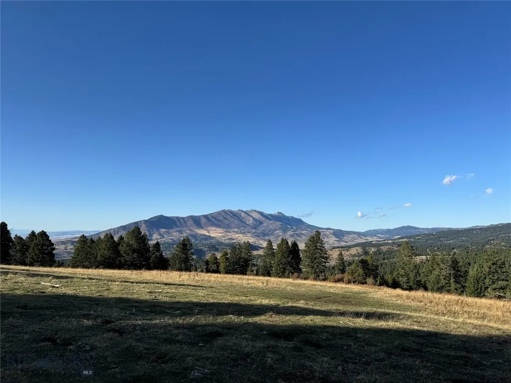 495 Moffit Gulch Road Bozeman MT 59715