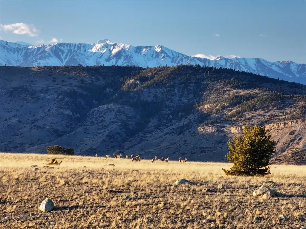 Tbd Susie Creek Road Mcleod MT 59052